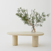 Bean Coffee Table, Organic-Shaped Micro Cement Table